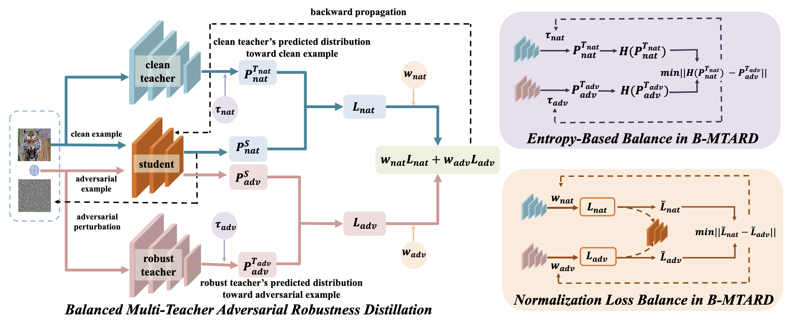 The multi-teacher distillation framework of B-MTARD. The framework has a student model learn simultaneously from two teachers: a clean teacher, who imparts knowledge on achieving high standard accuracy, and a robust teacher, who passes on experience in adversarial robustness. To address imbalances between the teachers&rsquo; &rsquo;teaching styles&rsquo; and the student&rsquo;s &rsquo;learning pace,&rsquo; the framework innovatively designs two dynamic balancers: an entropy-based balancer to unify the &lsquo;knowledge intensity&rsquo; of the teachers, and a normalized loss balancer to coordinate the student&rsquo;s &rsquo;learning progress.&rsquo; Image source: (Chen et al., 2023)