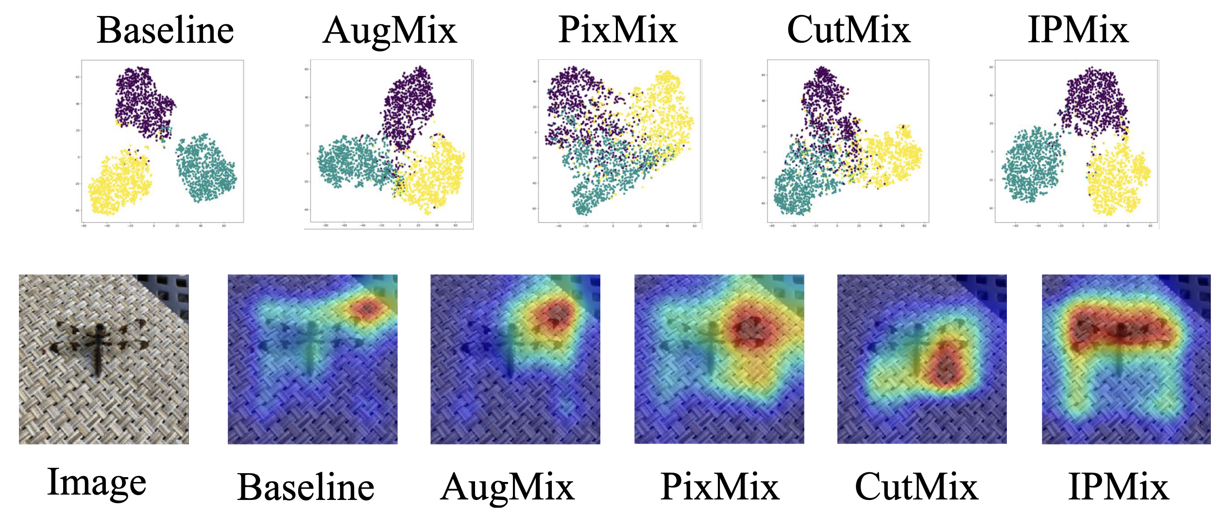 Improved feature space and attention mechanism after IPMix training. The t-SNE visualization in the upper part shows that after IPMix training, the feature clusters for different classes become more compact intra-class and more separated inter-class. Meanwhile, the Grad-CAM heatmaps in the lower part reveal that the baseline model&rsquo;s attention is entirely captured by background textures, whereas the IPMix-trained model can precisely and completely cover the subject (a dragonfly) itself. Image source: (Lee et al., 2022)